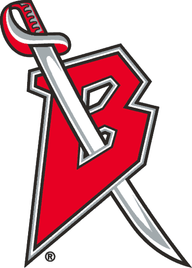 Buffalo Sabres 1996-1999 Alternate Logo iron on transfers for fabric version 3